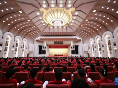 第33届夏季奥运会中国体育代表团总结大会在京举行